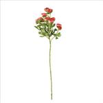 22 Inch Red Mini Ranunculus Spray