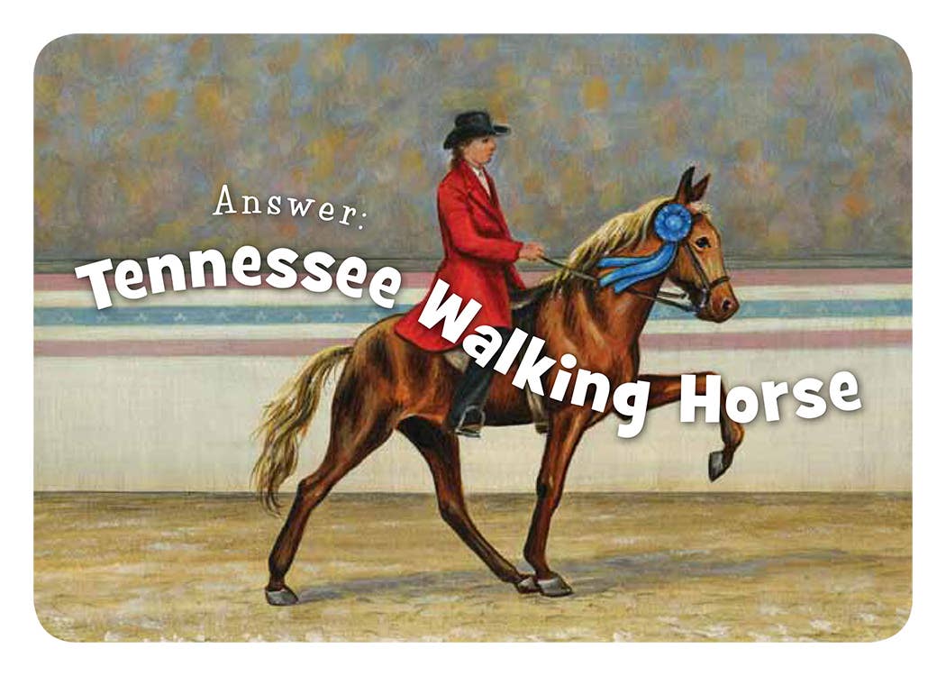 Little Tennessee board book for toddlers