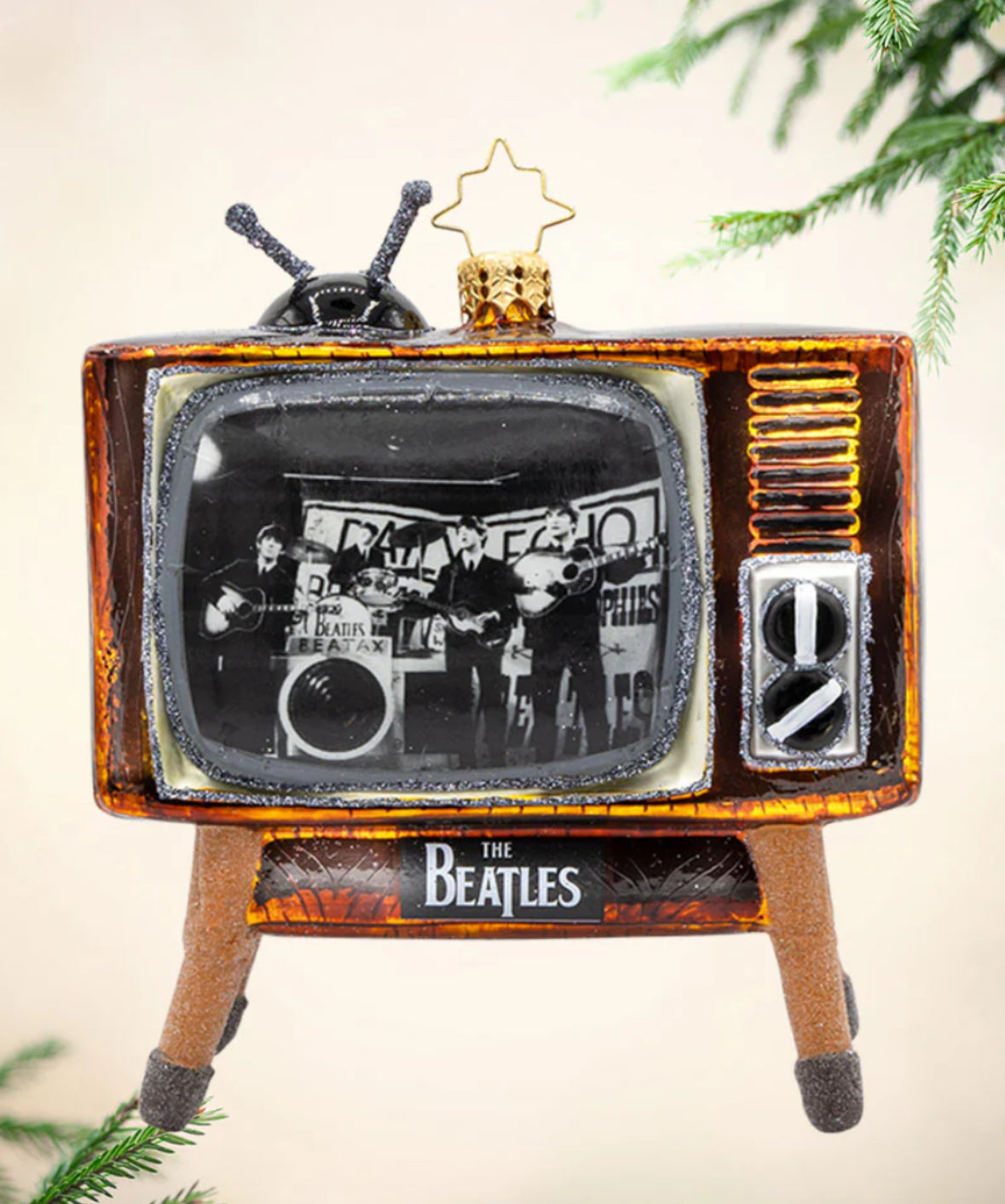 Beatles Television Tribute
