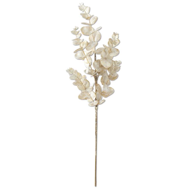 26 Inch Snowy Champagne Eucalyptus Stem