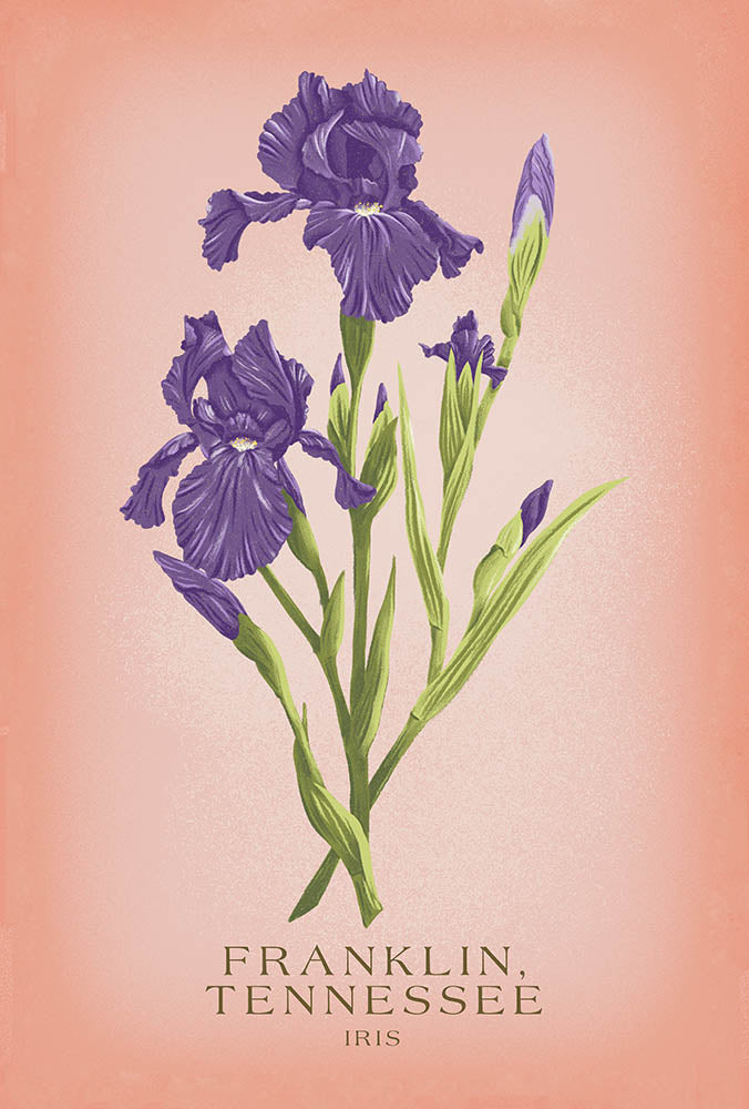 Franklin, Tennessee Iris Coaster