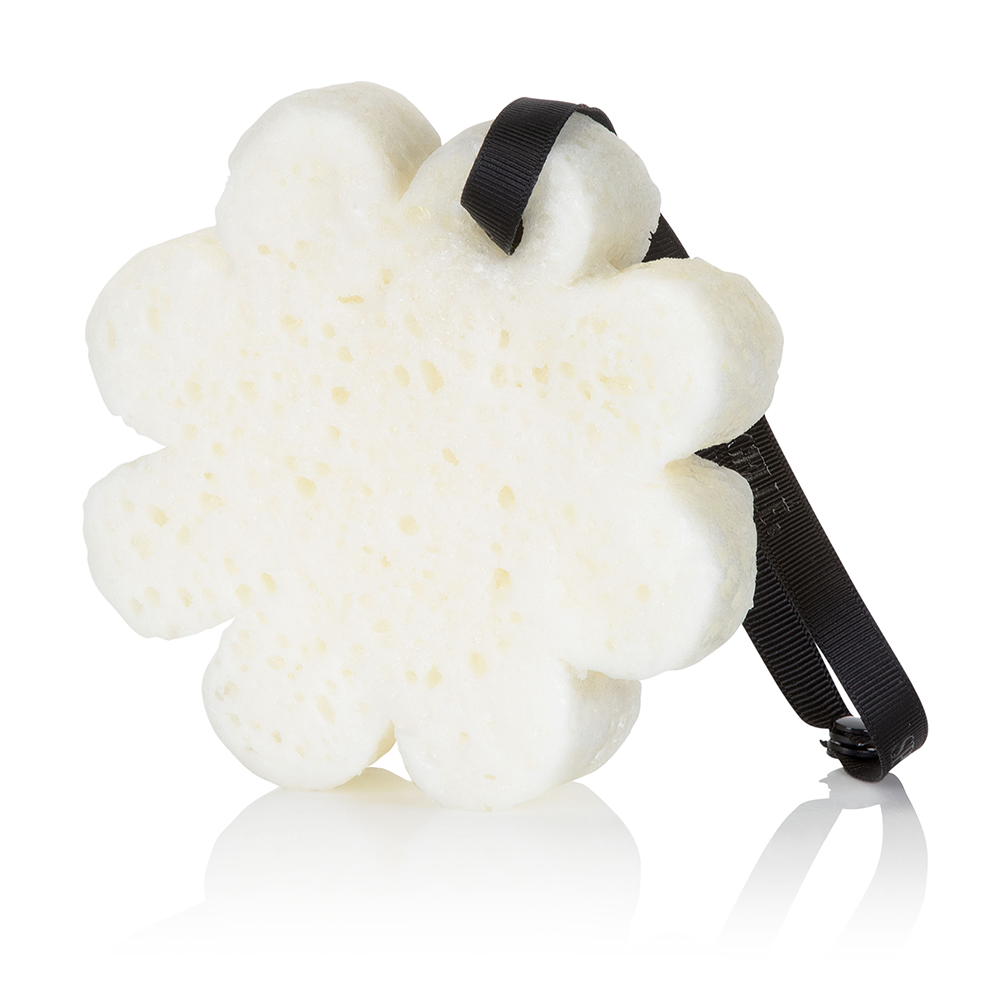 Tobacco Vanilla Boxed Spongelle