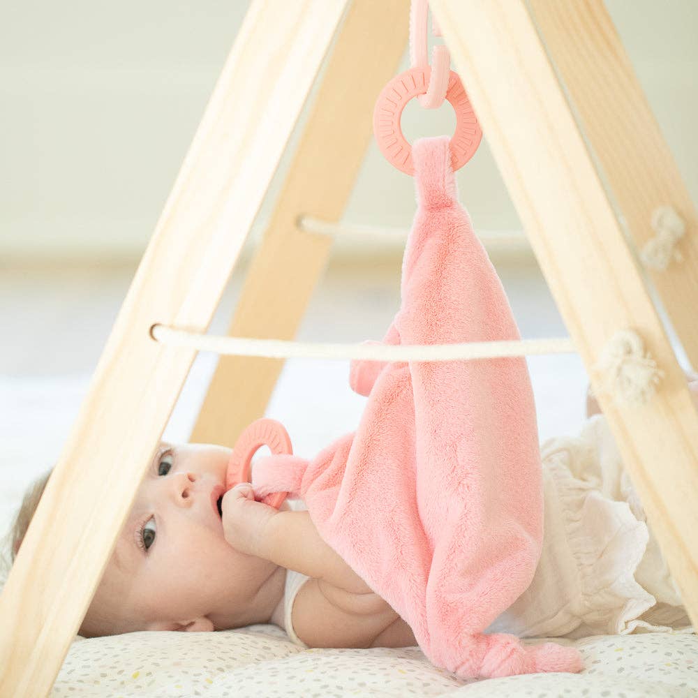 Teether Buddy Penny the Pig