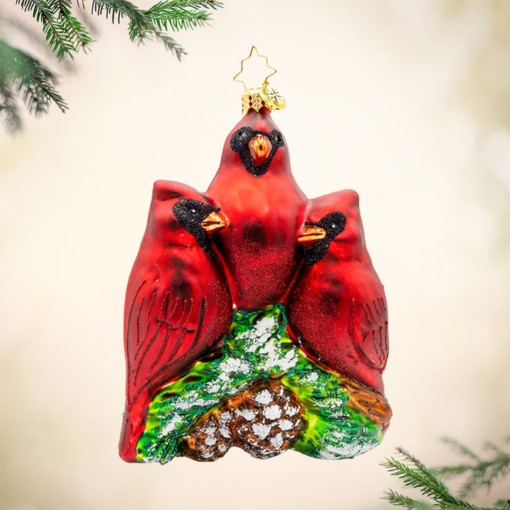 Cardinal Garden Greetings