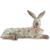 15.5 Inch Tan Rabbit Laying