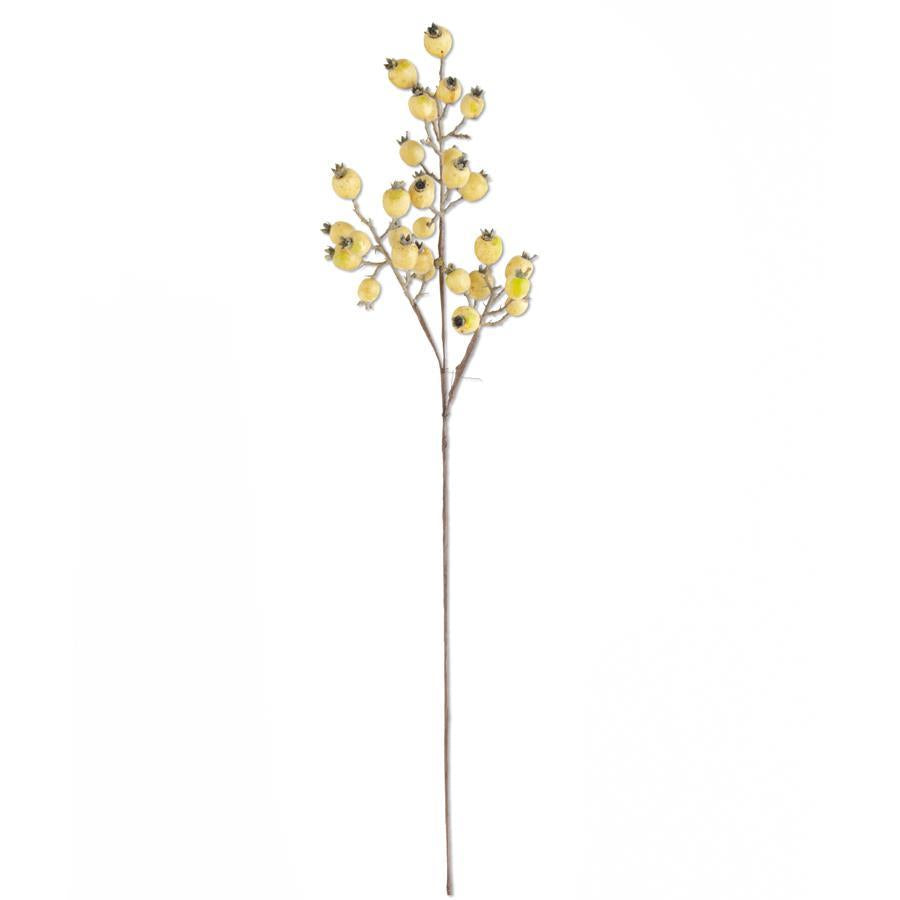 32 Inch Cream Rosehip Stem