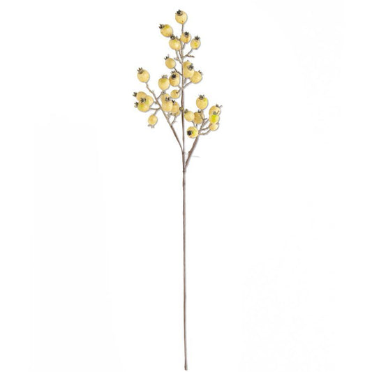 32 Inch Cream Rosehip Stem
