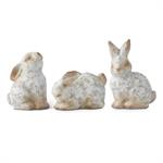 Assorted Patina Terracotta Garden Bunnies (3 S
