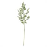 35 Inch Cream Lavender w/Eucalyptus Leaves Stem