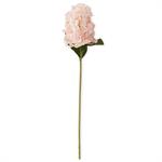 28 Inch Light Peach Real Touch Cone Hydrangea Ste
