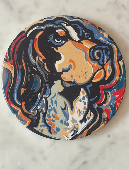 Tennessee Absorbent Stone Coaster