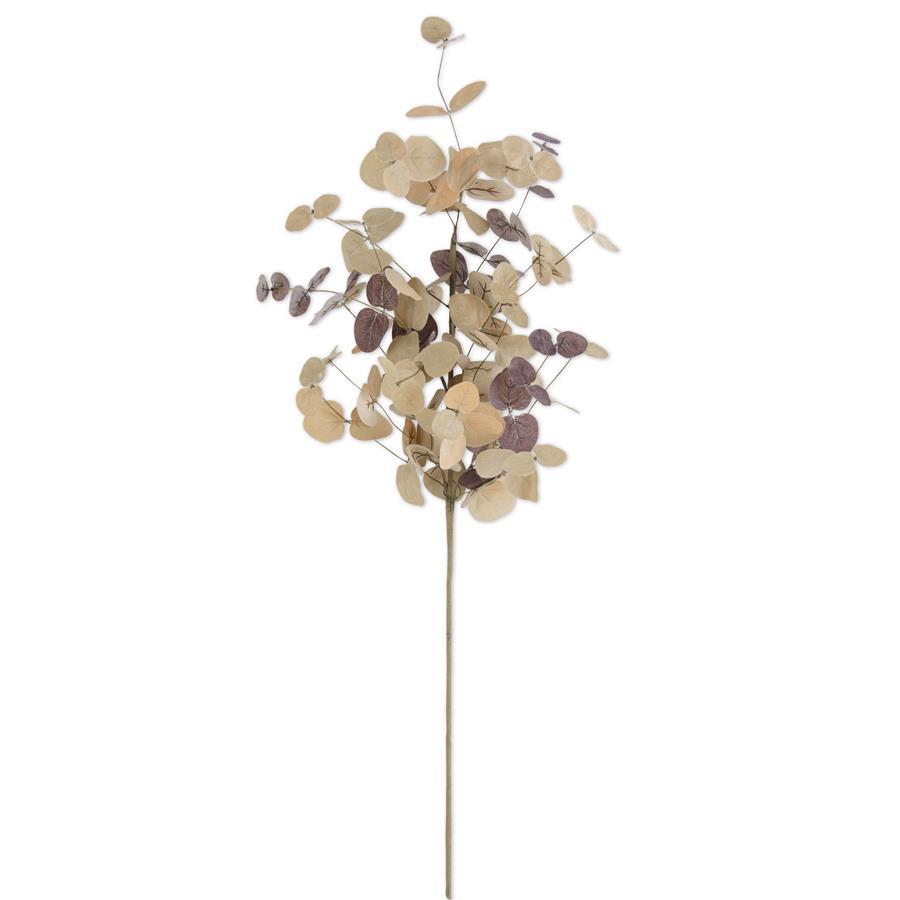 36 Inch Tan Two-Tone Eucalyptus Stem