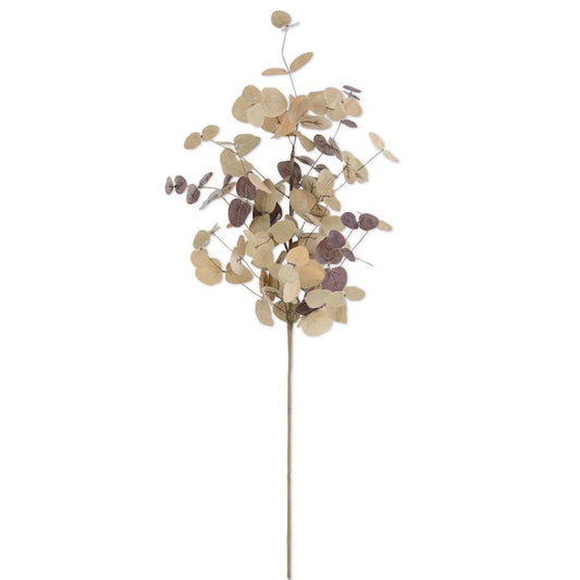 36 Inch Tan Two-Tone Eucalyptus Stem