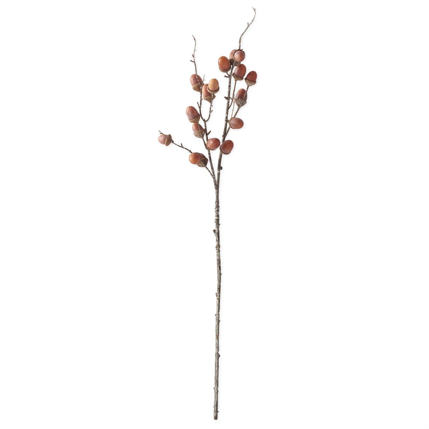 32 Inch Orange/Brown Acorn Stem
