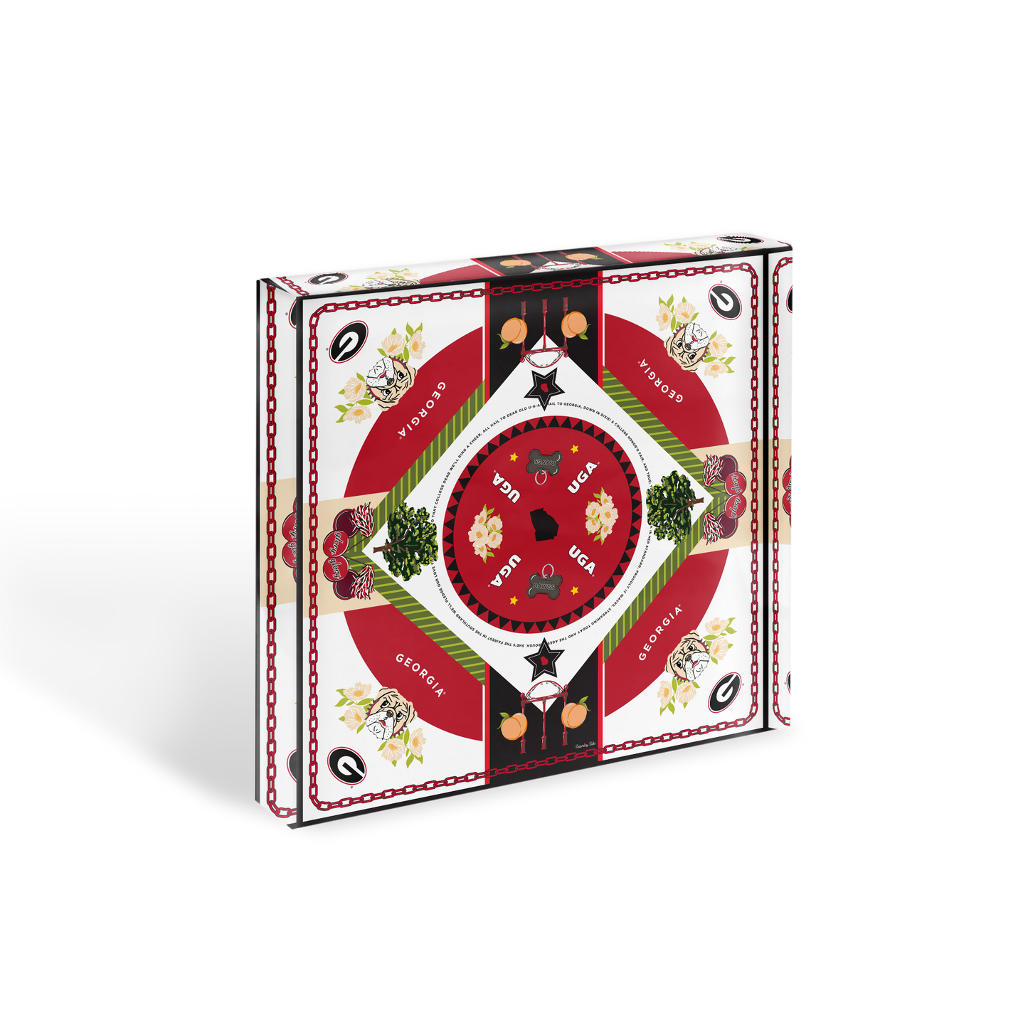 Georgia Bulldogs Acrylic Block Art