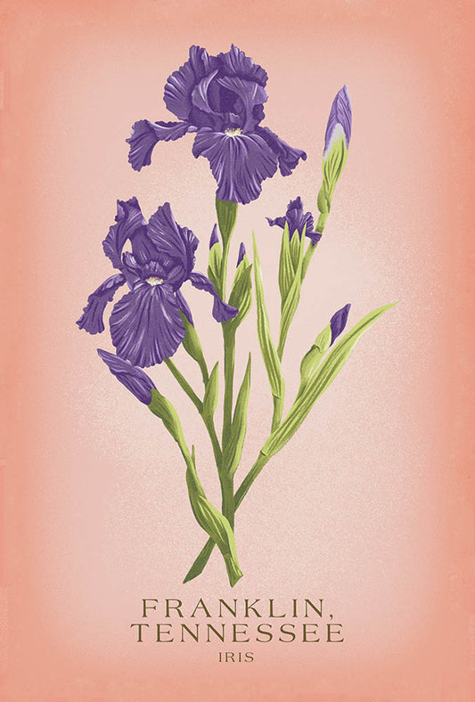 Franklin, Tennessee Iris Coaster