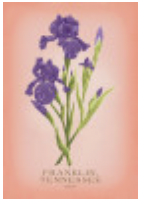 Franklin, Tennessee Iris Coaster