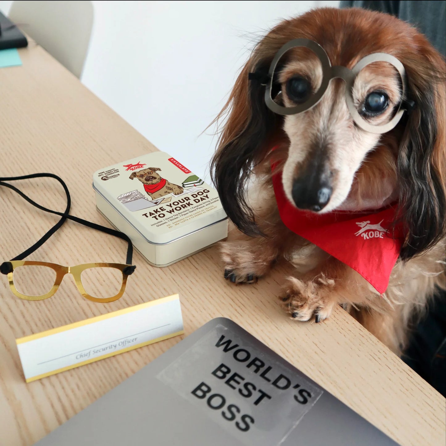 Take Your Dog To Work