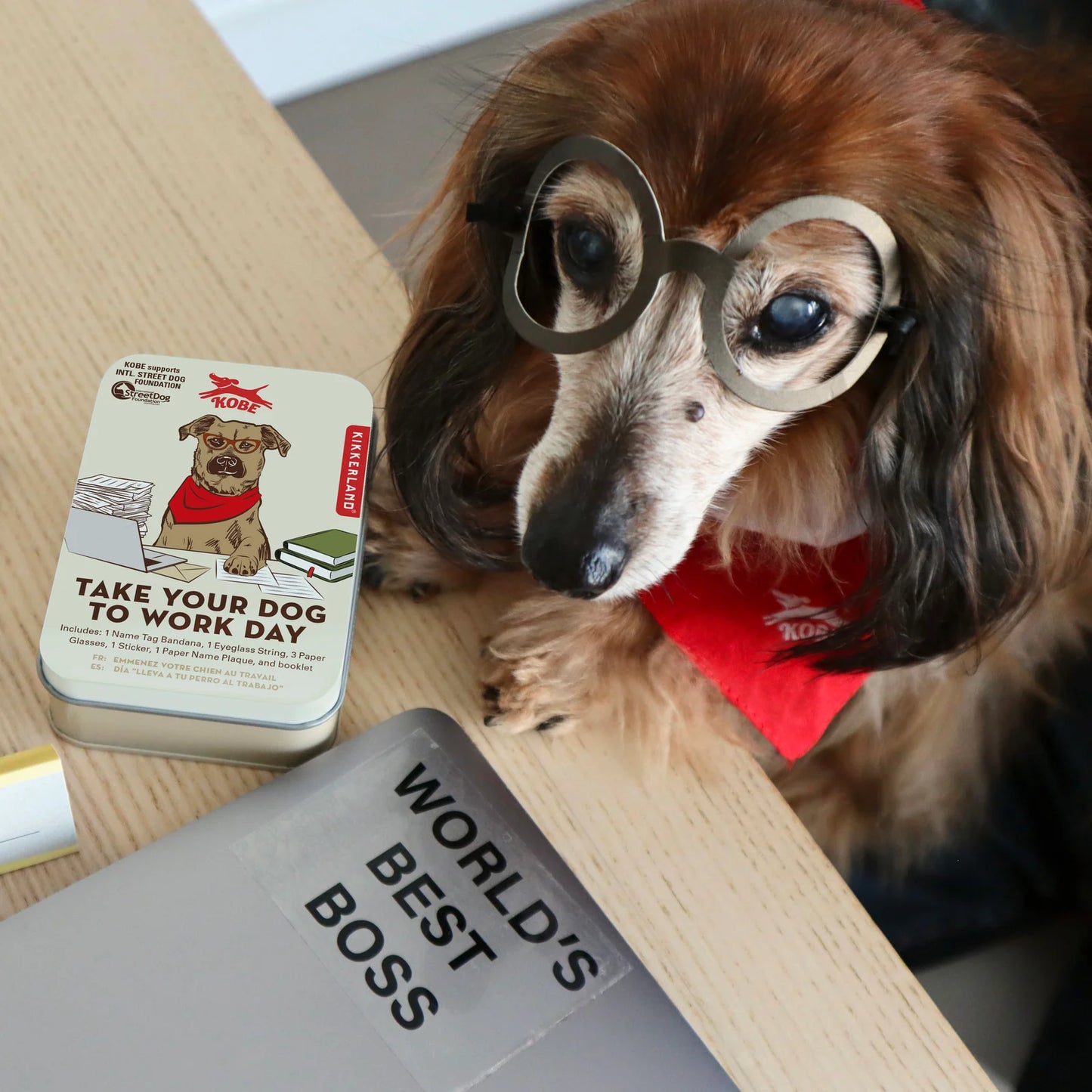 Take Your Dog To Work